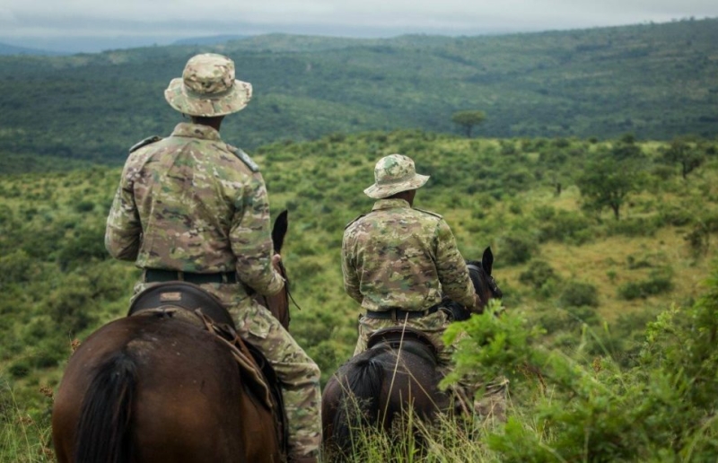 Horse anti-poaching units placeholder image
