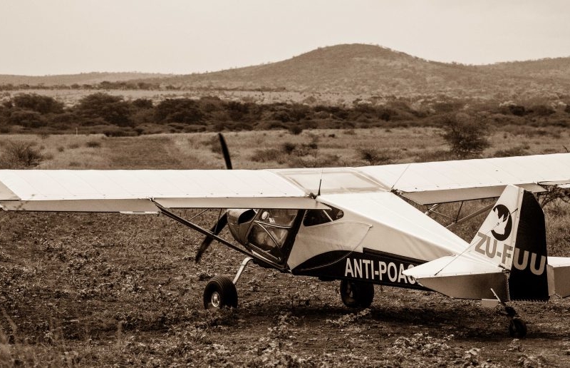 Aerial patrol wings placeholder image