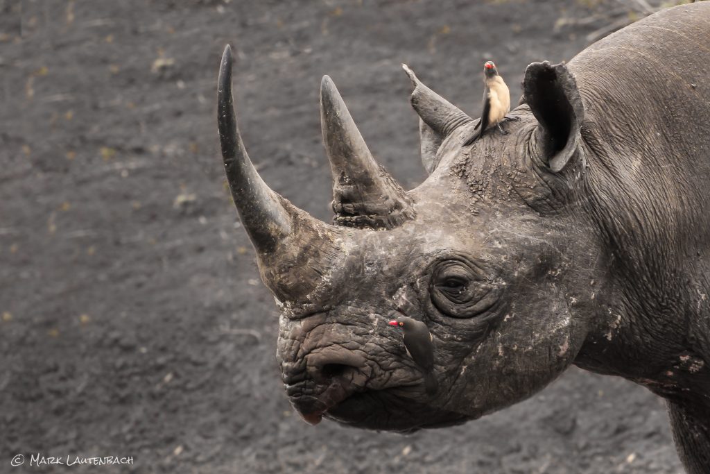 Zululand member placeholder image