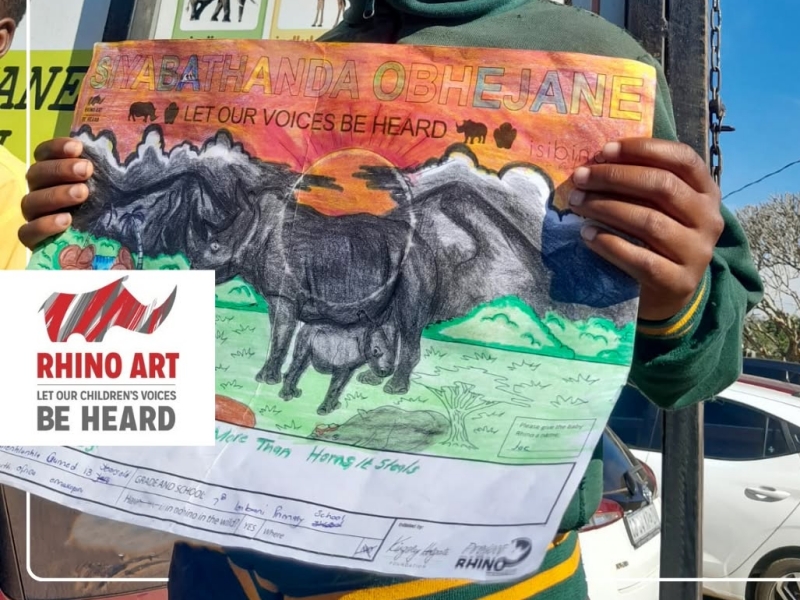 Rhino Art & Community update