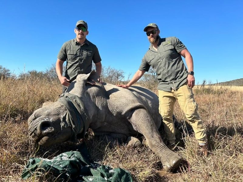 Keegan Daniel with a Project Rhino team member beside a rhino