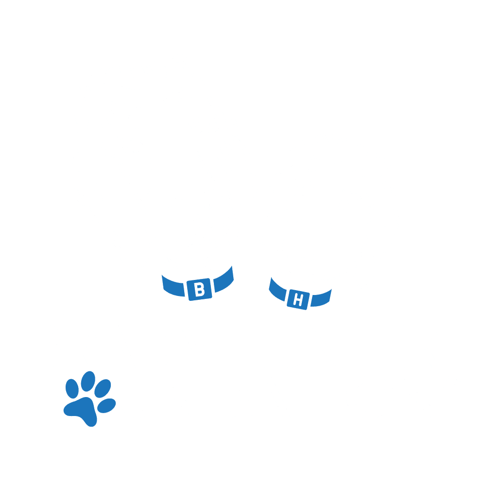 The Brady Hunter Foundation