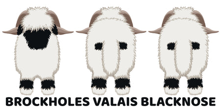 Brockholes Valais Blacknose