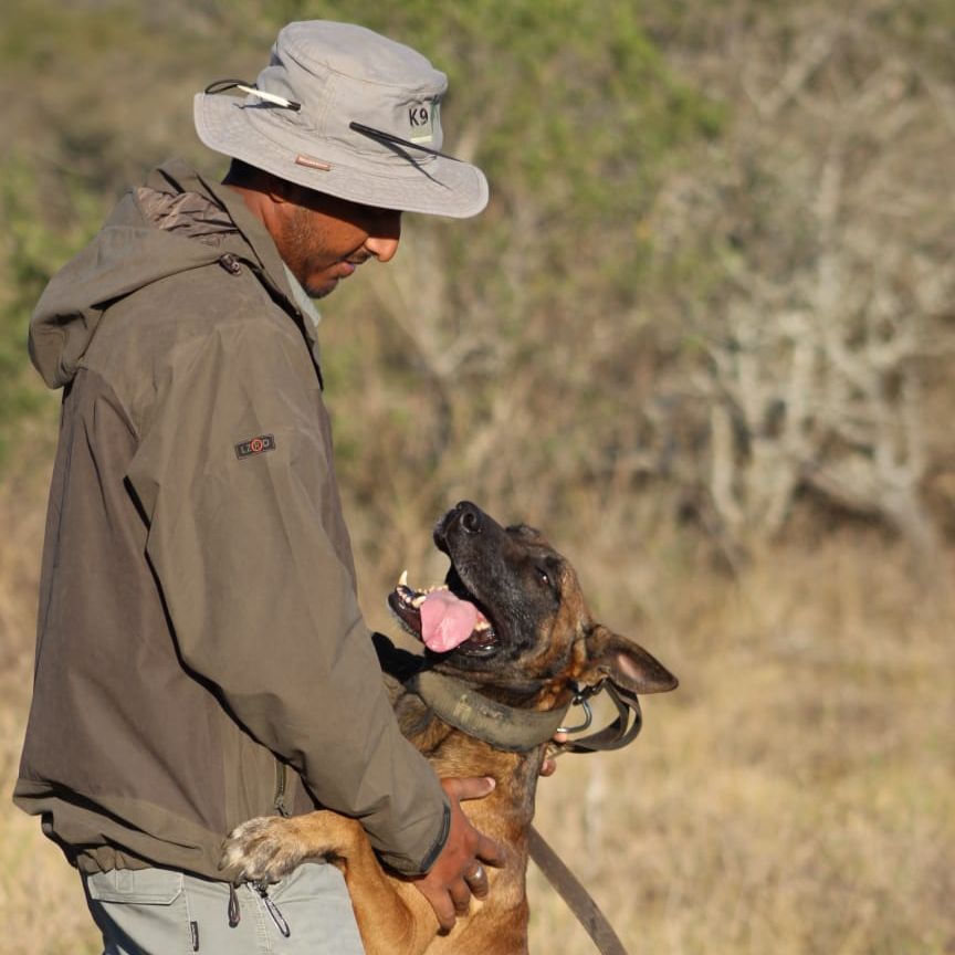 K9 handler with a working anti-poaching dog K9 handler with a working anti-poaching dog