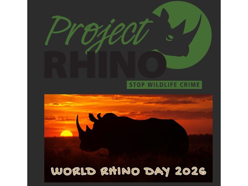 Rhino featured for World Rhino Day 2026